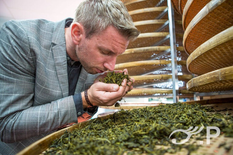 Directeur Johan Jansen van LocalTea in Zundert inspecteert zijn thee in de productieruimte